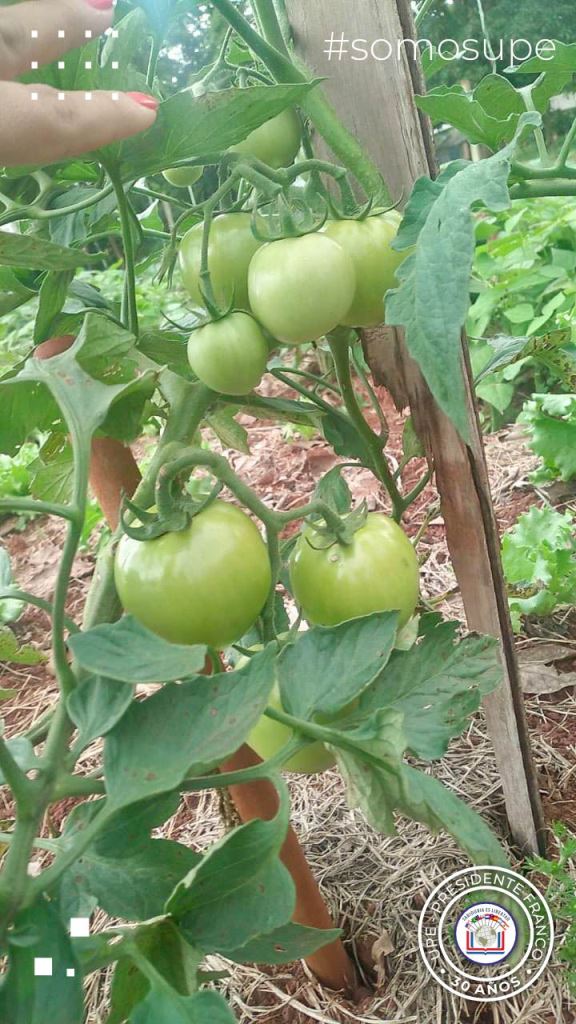 Visita Técnica, Facultad de Ciencias Agropecuarias, Carrera de Ingeniería Agronómica 